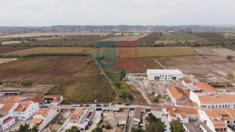 Armazém para Venda em Almeirim