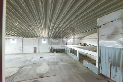 Armazém para Venda em Almeirim