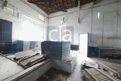 Armazém para Venda em Almeirim