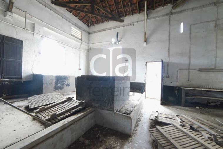 Armazém para Venda em Almeirim Foto 34