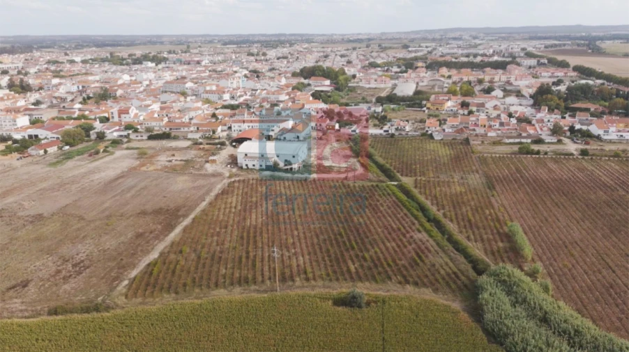 Armazém para Venda em Almeirim Foto 39