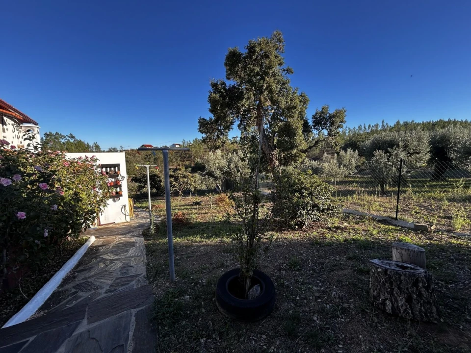 Moradia T3 para Venda em Vila de Rei Foto 29