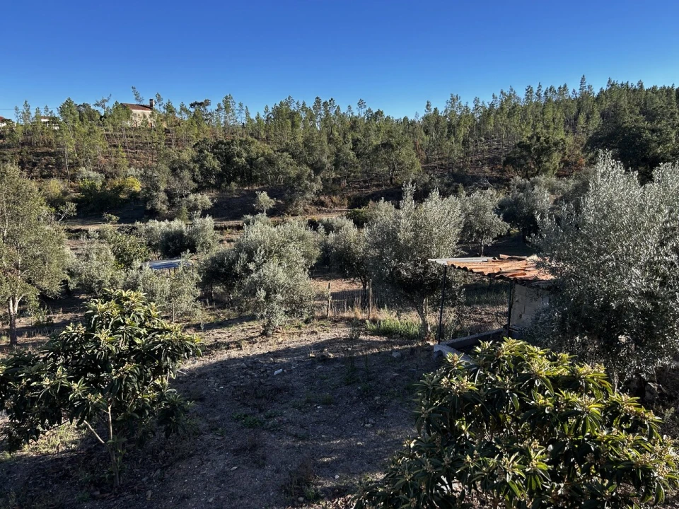 Moradia T3 para Venda em Vila de Rei Foto 32