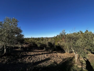 Moradia T3 para Venda em Vila de Rei