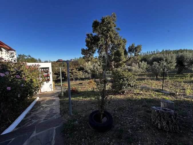 Moradia T3 para Venda em Vila de Rei Foto 29
