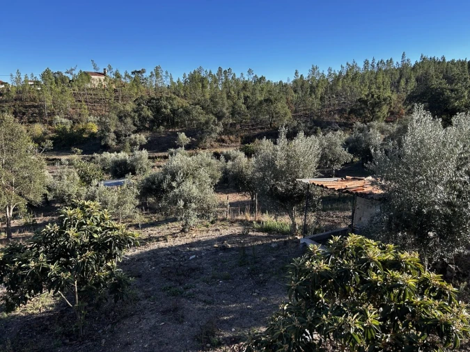 Moradia T3 para Venda em Vila de Rei Foto 32
