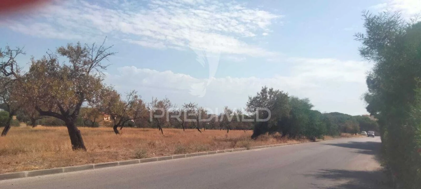 Terreno para Venda em Albufeira e Olhos de Água Foto 1