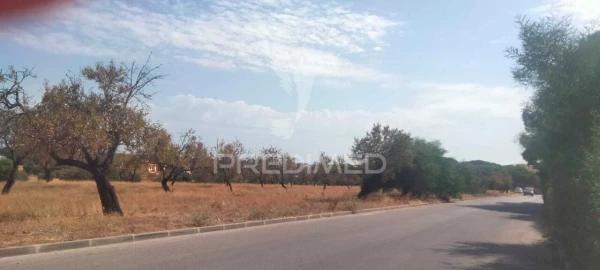 Terreno para Venda em Albufeira e Olhos de Água