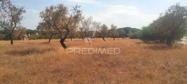 Terreno para Venda em Albufeira e Olhos de Água