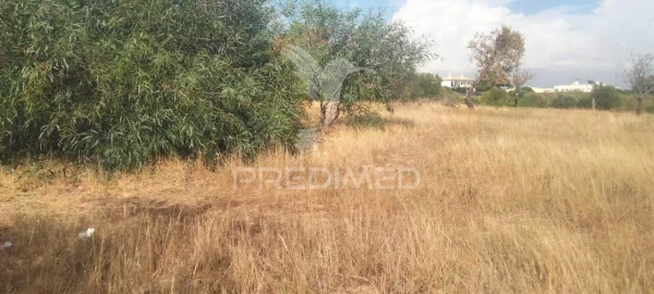 Terreno para Venda em Albufeira e Olhos de Água