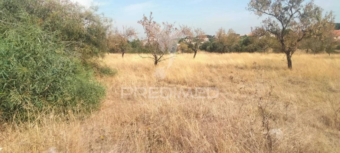 Terreno para Venda em Albufeira e Olhos de Água Foto 3