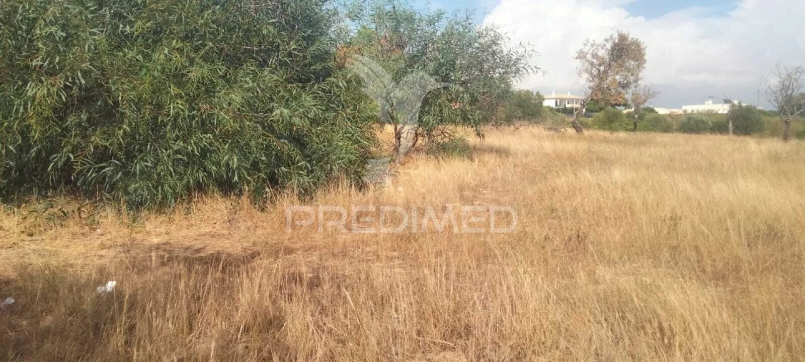 Terreno para Venda em Albufeira e Olhos de Água Foto 5
