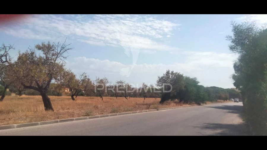 Terreno para Venda em Albufeira e Olhos de Água