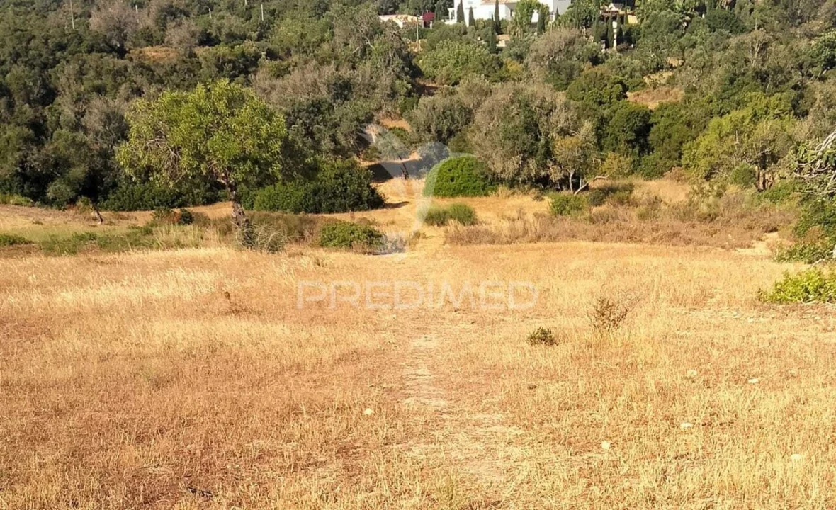 Terreno para Venda em Guia Foto 1