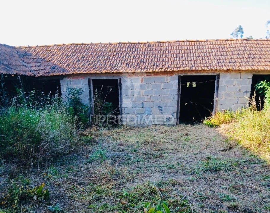 Moradia T3 para Venda em Monte Redondo e Carreira Foto 5