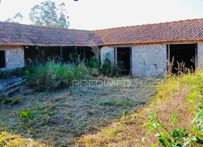 Moradia T3 para Venda em Monte Redondo e Carreira Foto 6