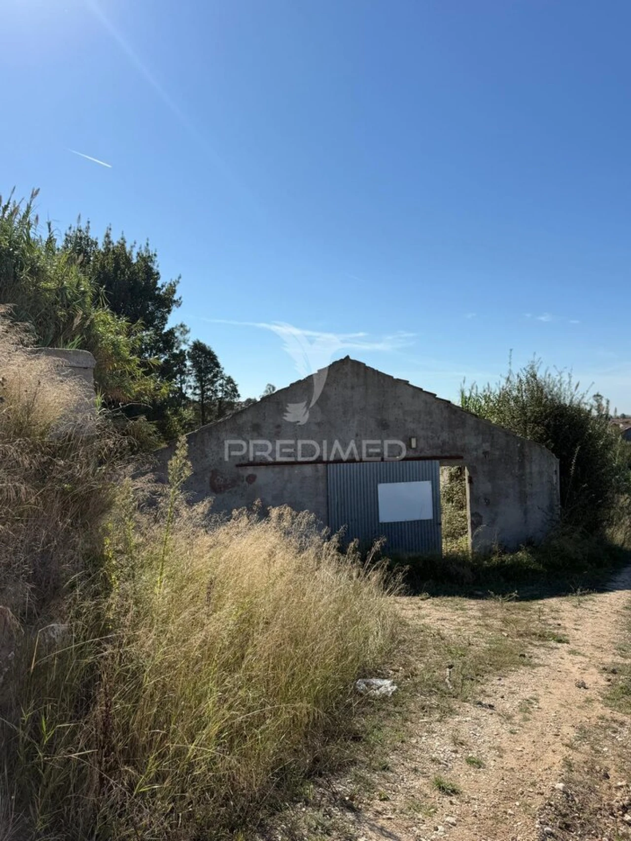 Terreno para Venda em Benedita Foto 3