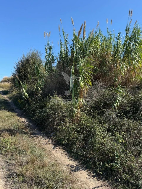 Terreno para Venda em Benedita