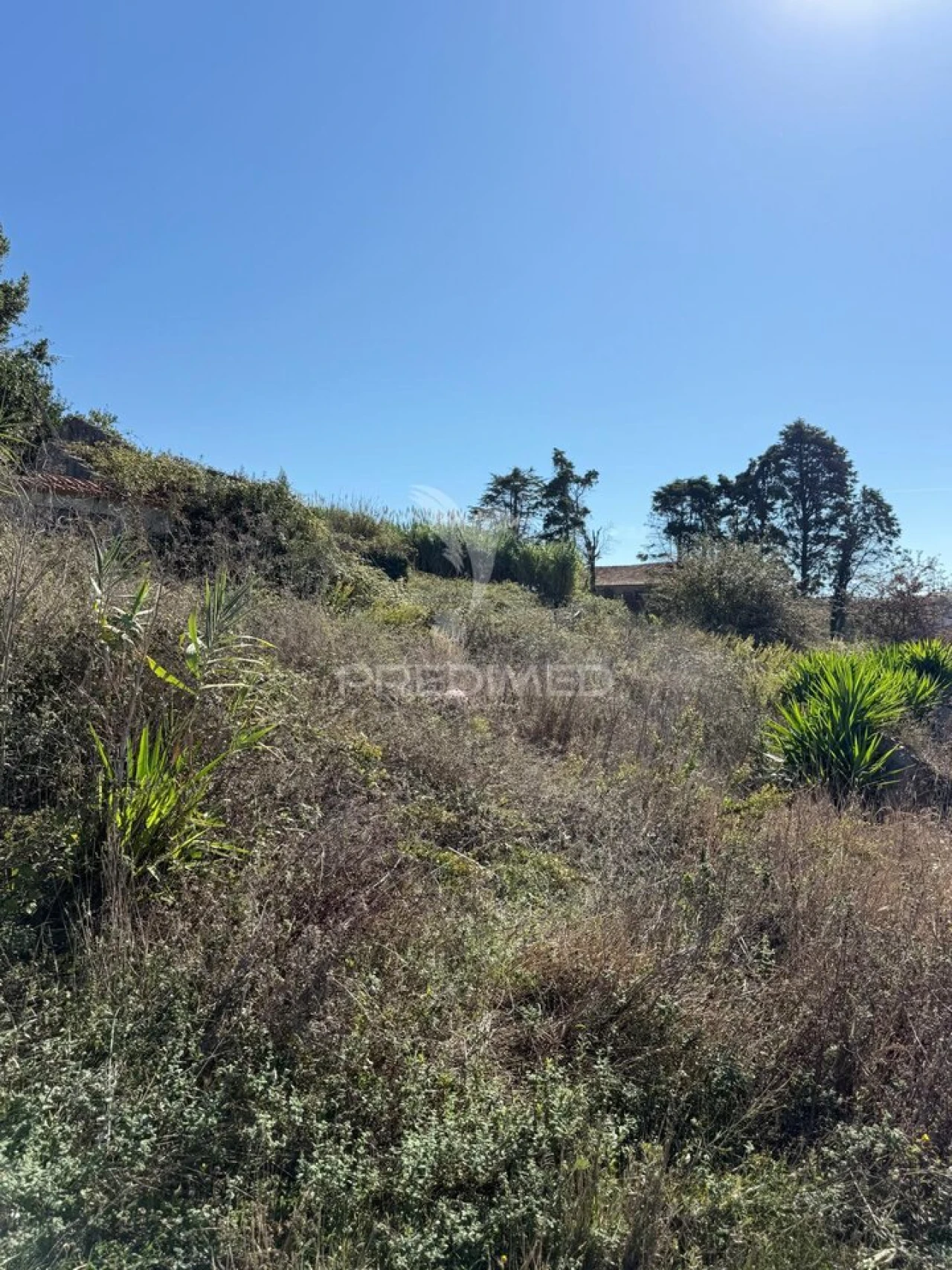 Terreno para Venda em Benedita Foto 7