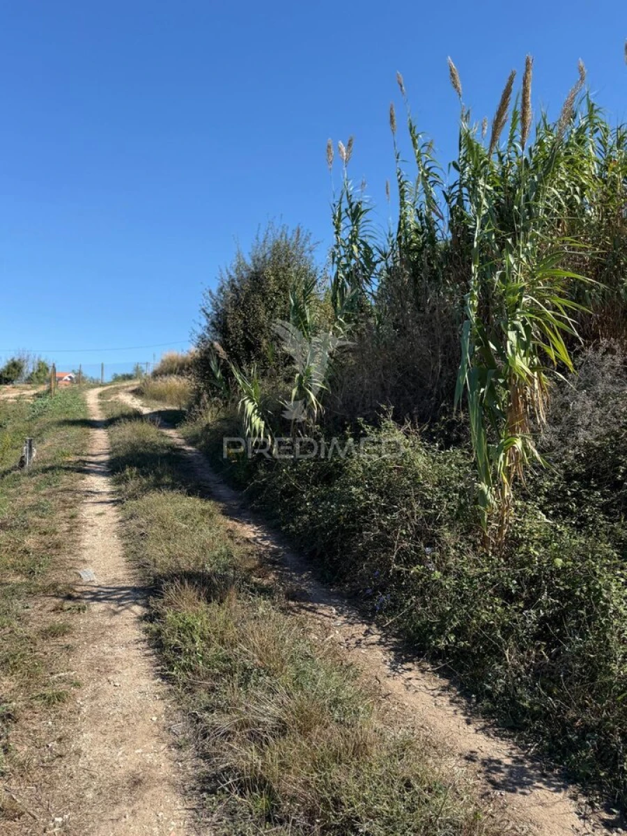 Terreno para Venda em Benedita Foto 10