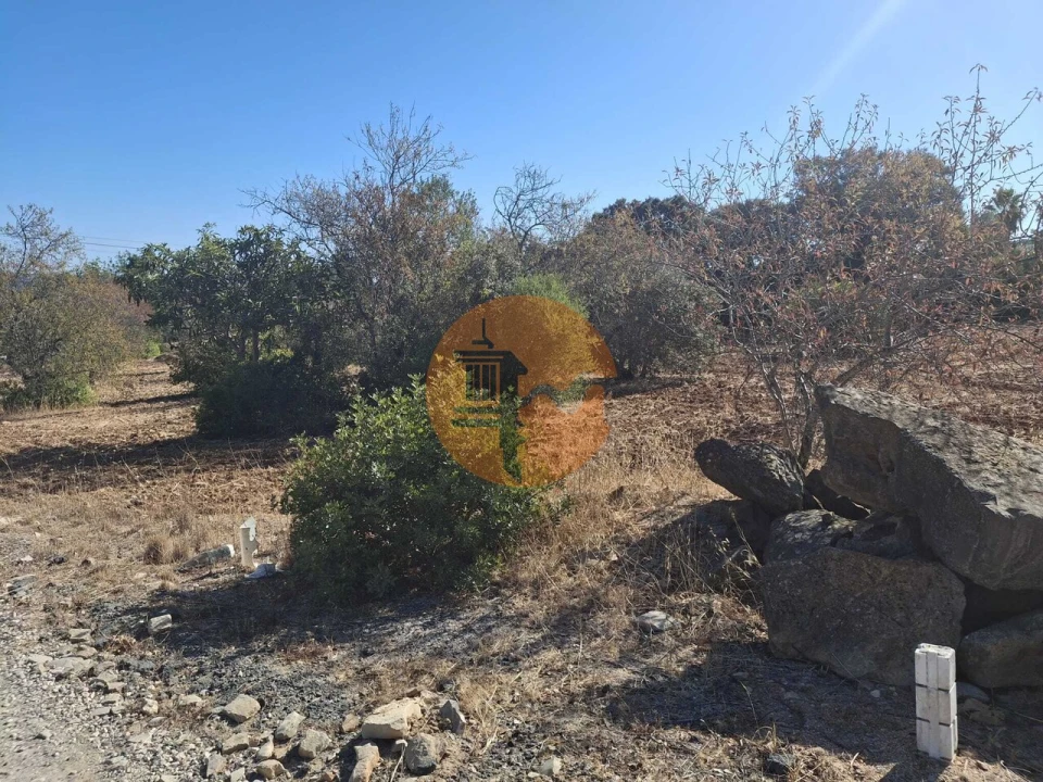 Terreno para Venda em São Brás de Alportel Foto 4