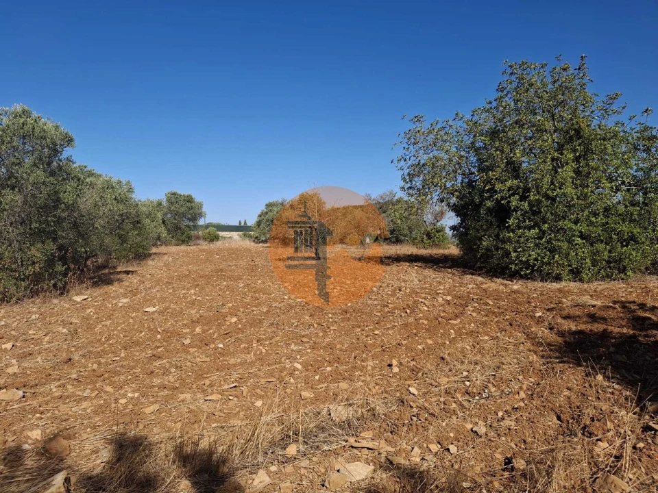 Terreno para Venda em São Brás de Alportel Foto 6