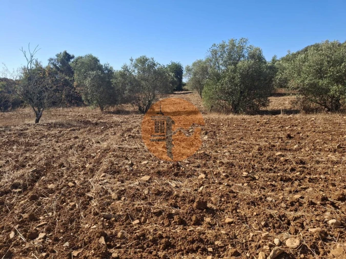 Terreno para Venda em São Brás de Alportel Foto 3