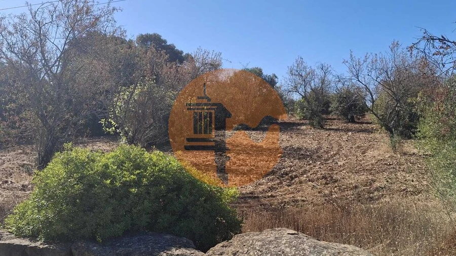 Terreno para Venda em São Brás de Alportel