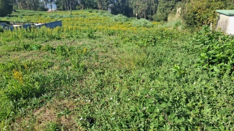 Terreno para Venda em O. Azeméis, Riba-Ul, Ul, Macinhata Seixa, Madail
