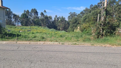 Terreno para Venda em O. Azeméis, Riba-Ul, Ul, Macinhata Seixa, Madail