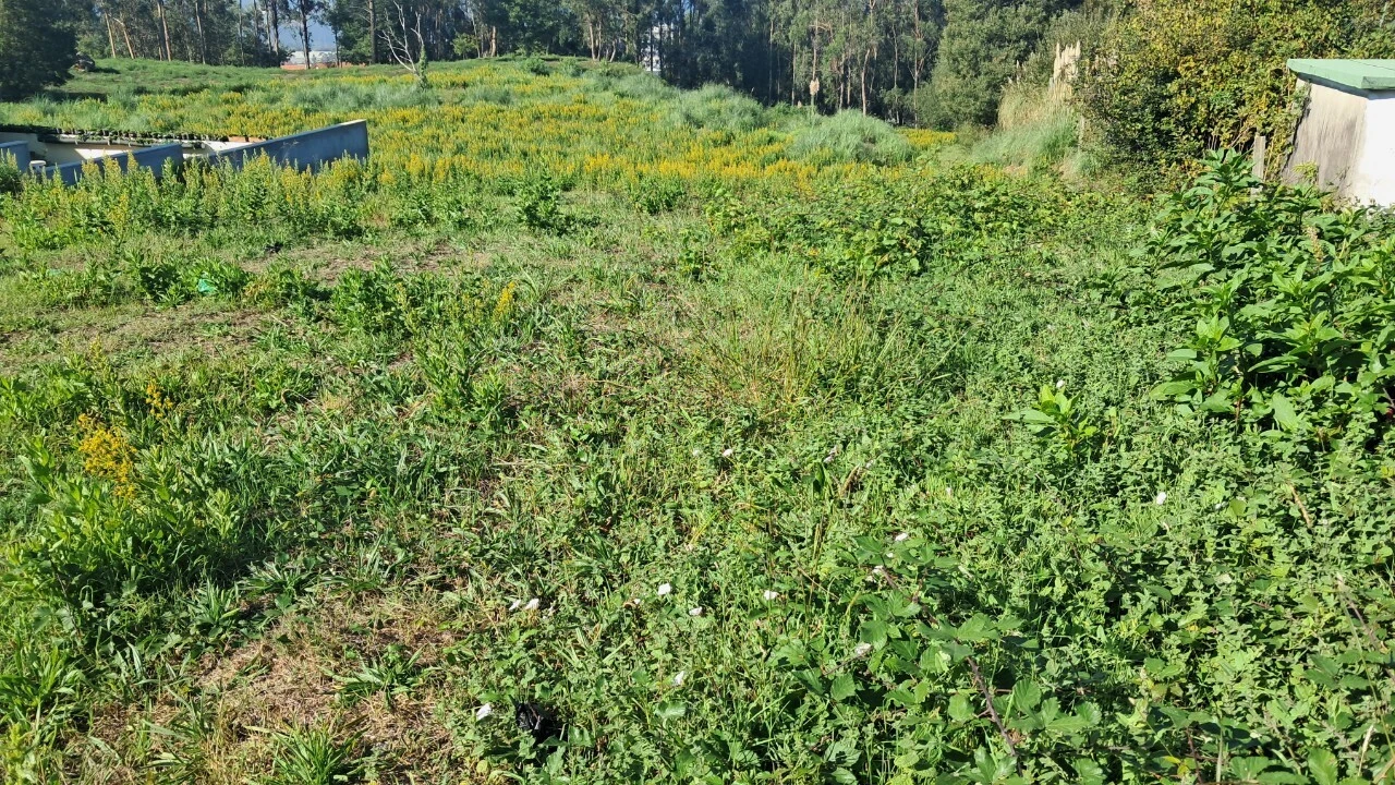 Terreno para Venda em O. Azeméis, Riba-Ul, Ul, Macinhata Seixa, Madail Foto 1