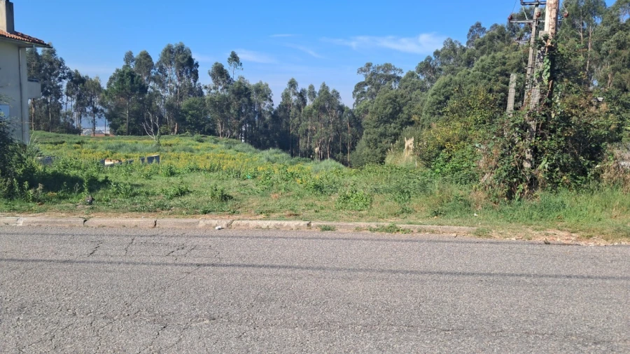 Terreno para Venda em O. Azeméis, Riba-Ul, Ul, Macinhata Seixa, Madail Foto 2
