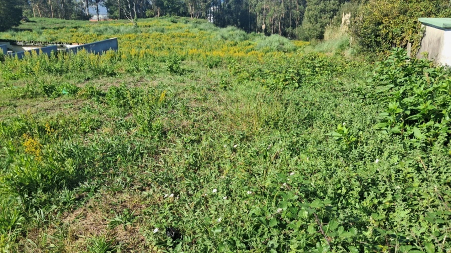 Terreno para Venda em O. Azeméis, Riba-Ul, Ul, Macinhata Seixa, Madail