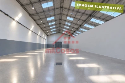 Armazém para Arrendamento em Santa Maria, São Pedro e Matacães
