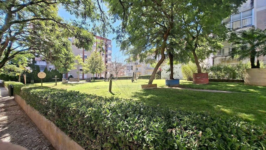 Apartamento T1 para Venda em Eiras e São Paulo de Frades Foto 11