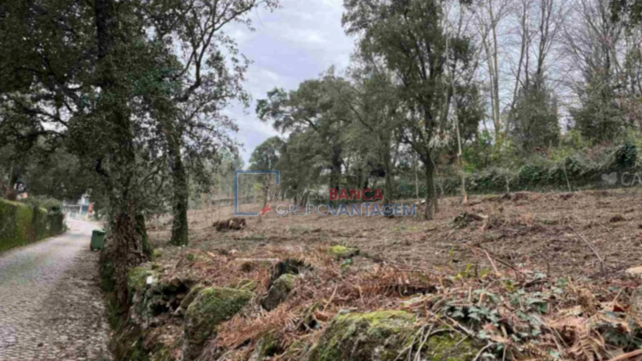Terreno Agricola ou Rústico para Venda em Fornelo e Vairão Foto 4