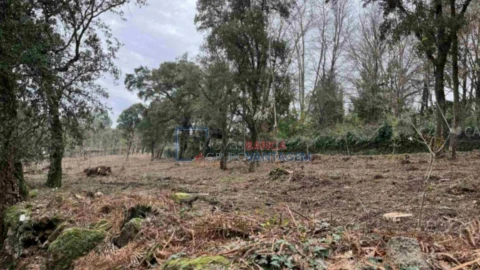 Terreno Agricola ou Rústico para Venda em Fornelo e Vairão