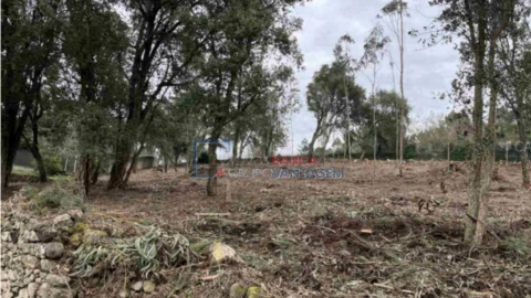 Terreno Agricola ou Rústico para Venda em Fornelo e Vairão