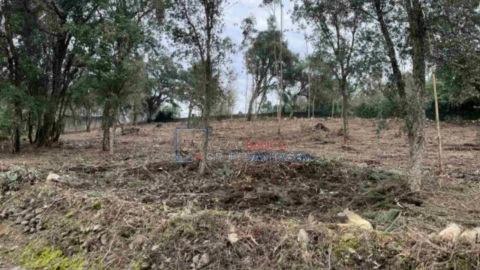 Terreno Agricola ou Rústico para Venda em Fornelo e Vairão