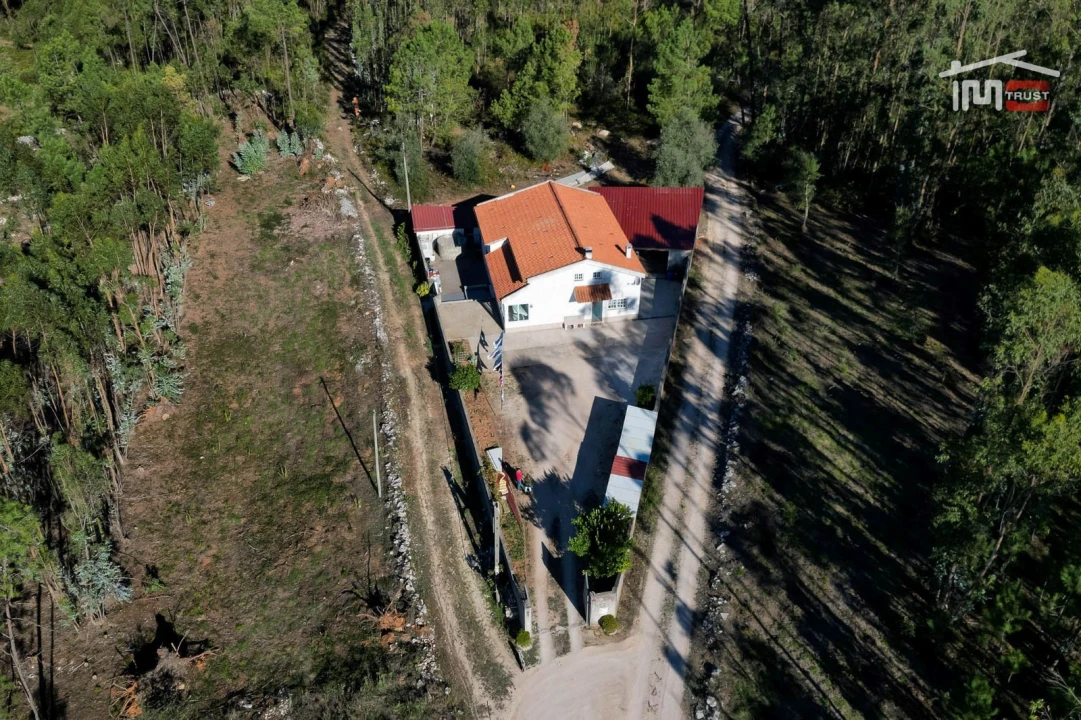 Moradia T3 para Venda em São Mamede Foto 39