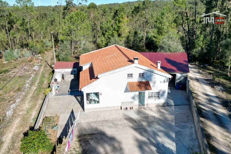 Moradia T3 para Venda em São Mamede Foto 38