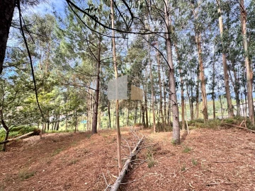 Terreno para Venda em Cornes