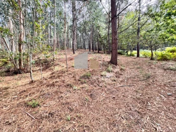 Terreno para Venda em Cornes
