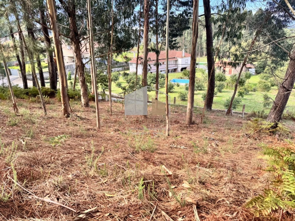 Terreno para Venda em Cornes Foto 6