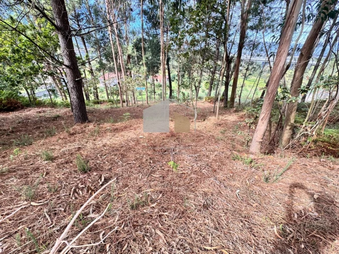 Terreno para Venda em Cornes Foto 10