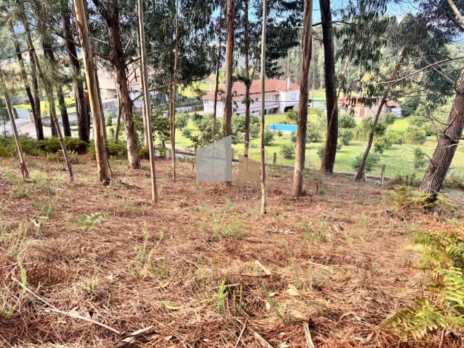 Terreno para Venda em Cornes Foto 6