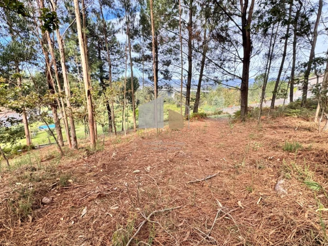 Terreno para Venda em Cornes Foto 7