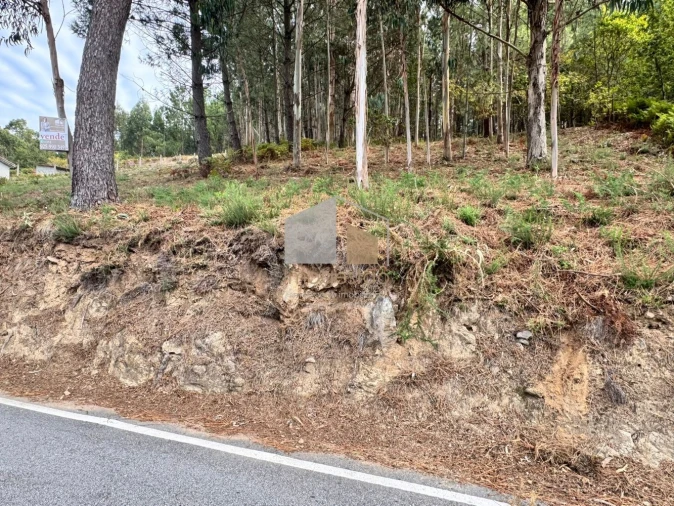 Terreno para Venda em Cornes Foto 3