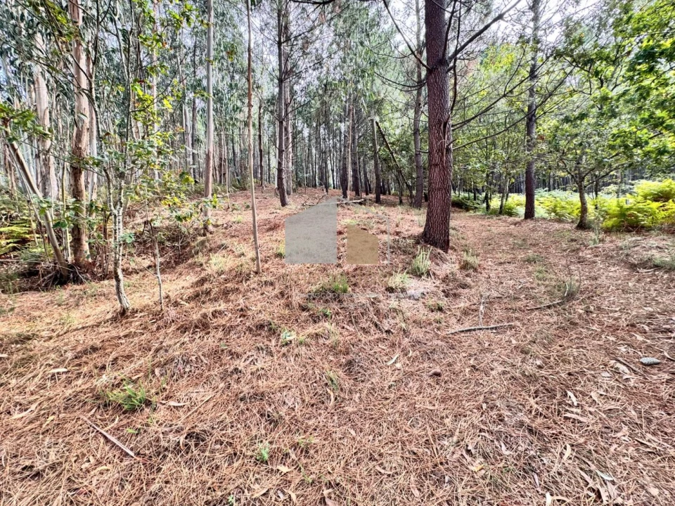 Terreno para Venda em Cornes Foto 2