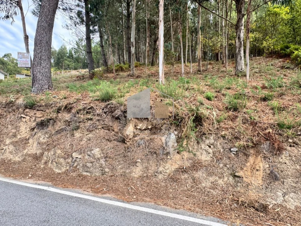 Terreno para Venda em Cornes Foto 3